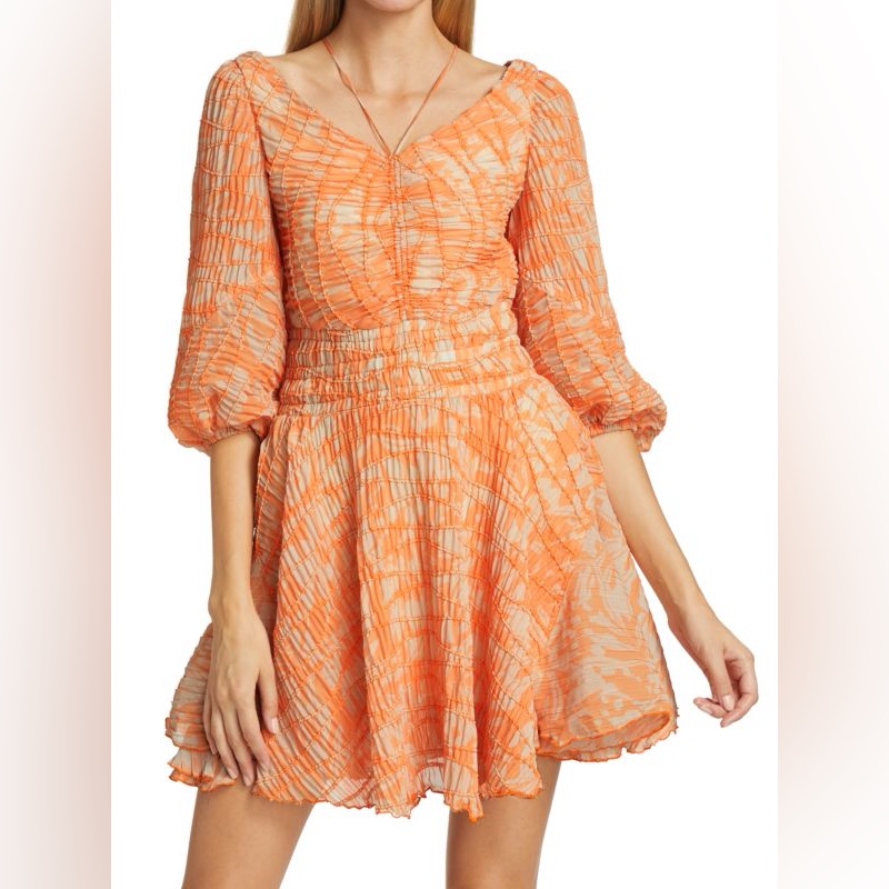 Nwt Jonathan Simkhai Lena Shirred Chiffon Minidress